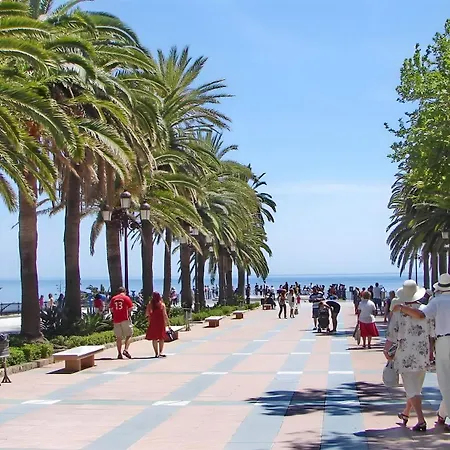 Acebo * Nerja