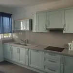 Acebo فيلة *