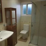 Acebo نيرخا